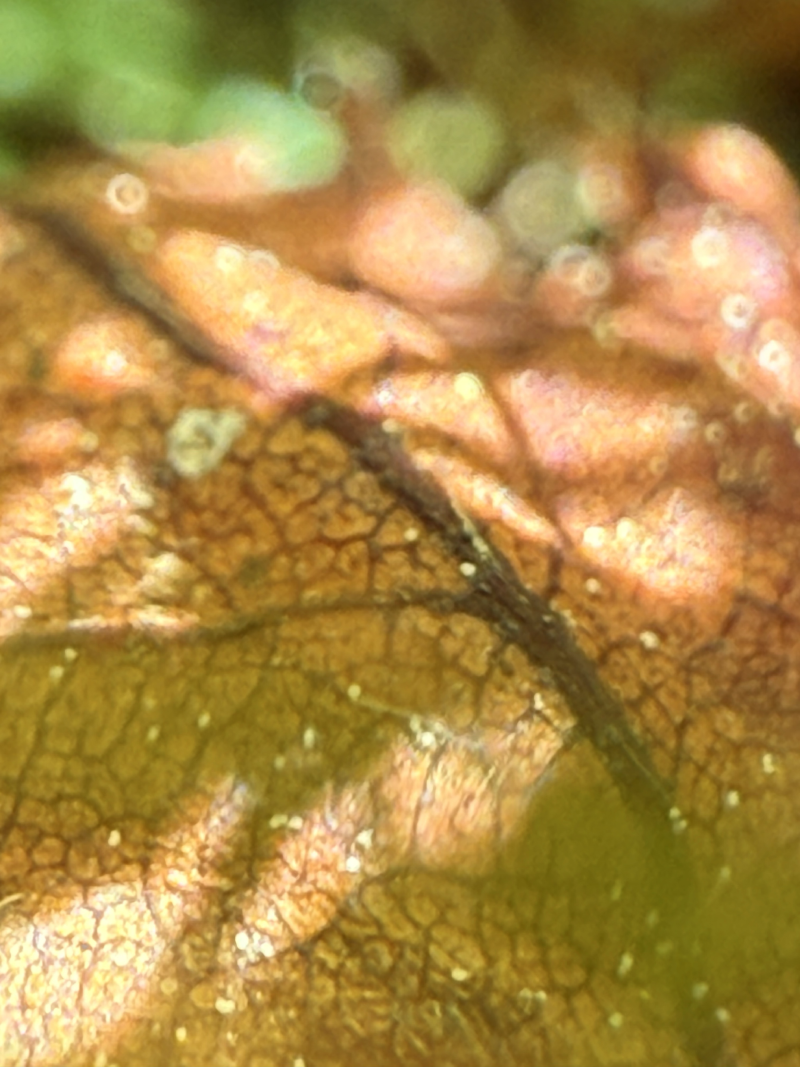 Featured image of post Visual-Audio-Art
